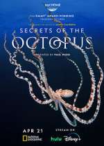Watch Secrets of the Octopus Megavideo