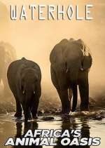 Watch Waterhole: Africa's Animal Oasis Megavideo