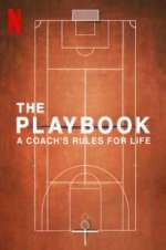 Watch The Playbook Megavideo