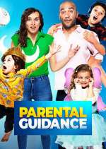 Watch Parental Guidance Megavideo