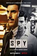 Watch The Spy Megavideo