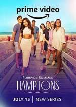 Watch Forever Summer: Hamptons Megavideo