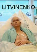 Watch Litvinenko Megavideo