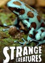Watch Strange Creatures Megavideo