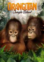 Watch Orangutan Jungle School Megavideo