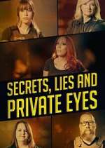 Watch Secrets, Lies and Private Eyes Megavideo