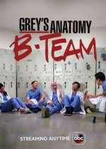 Watch Grey's Anatomy: B-Team Megavideo