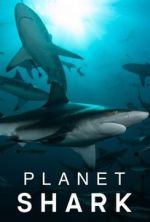 Watch Planet Shark Megavideo