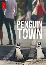 Watch Penguin Town Megavideo