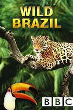 Watch Wild Brazil Megavideo