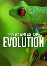 Watch Mysteries of Evolution Megavideo