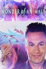 Watch The Wonder of Animals Megavideo