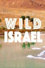 Watch Wild Israel Megavideo