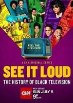 Watch See It Loud: The History of Black Television Megavideo