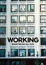 Watch Working: What We Do All Day Megavideo