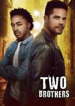 Watch Two Brothers Megavideo