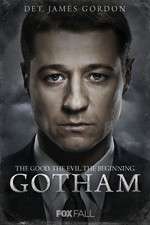 Watch Gotham Megavideo