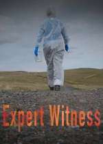 Watch Expert Witness Megavideo