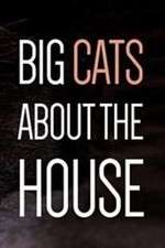 Watch Big Cats About the House Megavideo