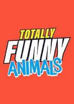 Watch Totally Funny Animals Megavideo