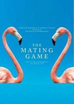 Watch The Mating Game Megavideo
