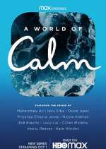 Watch A World of Calm Megavideo