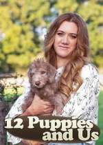 Watch 12 Puppies and Us Megavideo