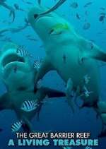 Watch Great Barrier Reef: A Living Treasure Megavideo