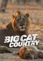 Watch Big Cat Country Megavideo