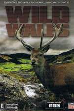 Watch Wild Wales Megavideo