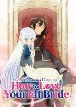 Watch An Archdemon's Dilemma: How to Love Your Elf Bride Megavideo