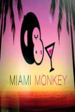Watch Miami Monkey Megavideo