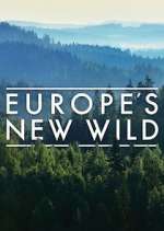 Watch Europe's New Wild Megavideo