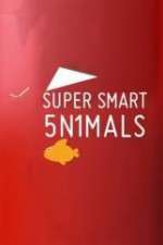 Watch Super Smart Animals Megavideo