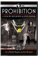 Watch Prohibition Megavideo