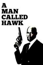 Watch A Man Called Hawk Megavideo