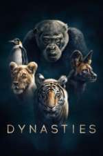 Watch Dynasties Megavideo