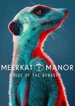 Watch Meerkat Manor: Rise of the Dynasty Megavideo