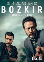 Watch Bozkir Megavideo