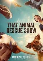 Watch That Animal Rescue Show Megavideo