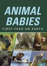 Watch Animal Babies: First Year on Earth Megavideo