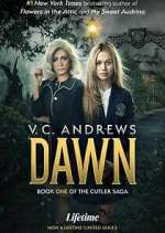 Watch V.C. Andrews' Dawn Megavideo
