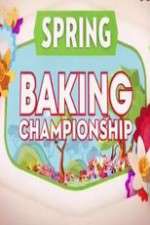 Watch Spring Baking Championship Megavideo