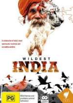 Watch Wildest India Megavideo