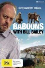 Watch Baboons with Bill Bailey Megavideo