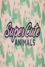 Watch Super Cute Animals Megavideo