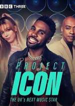 Watch Project Icon: The UK's Next Music Star Megavideo