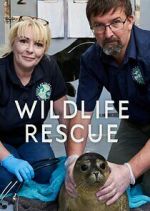 Watch Wildlife Rescue Megavideo