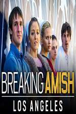 Watch Breaking Amish: LA Megavideo