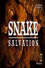 Watch Snake Salvation Megavideo